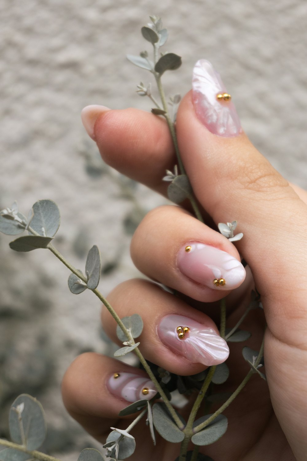 Pale pink nails with small gold studs beside eucalyptus leaves